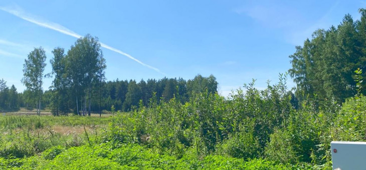 Участок № 77 в поселке Жемчужный, площадь 10.82 соток