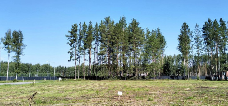 Участок № 5 в поселке Аист, площадь 12.09 соток