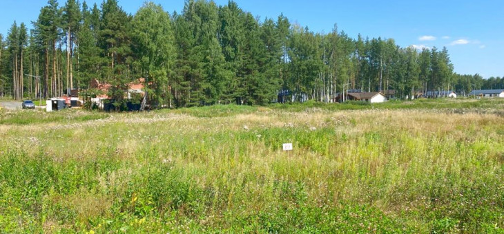 Участок № 89 в поселке Жемчужный, площадь 9.44 соток