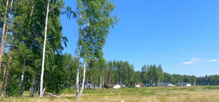 Участок № 91 в поселке Жемчужный, площадь 15.85 соток