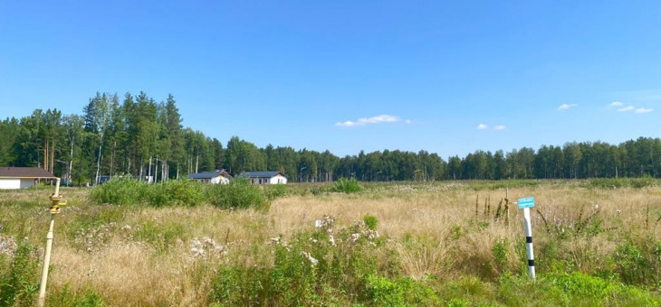 Участок № 94 в поселке Жемчужный, площадь 10.02 соток