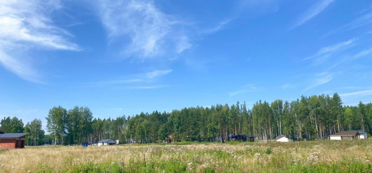 Участок № 100 в поселке Жемчужный, площадь 12.85 соток