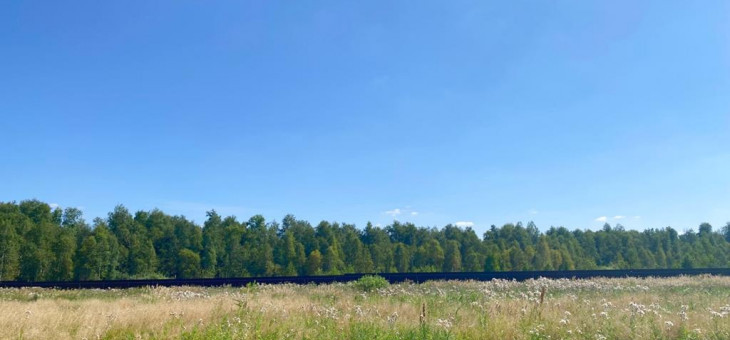 Участок № 101 в поселке Жемчужный, площадь 17.09 соток