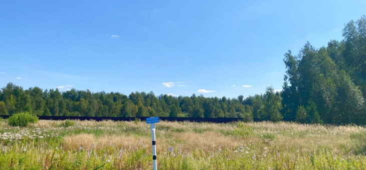 Участок № 103 в поселке Жемчужный, площадь 15.00 соток