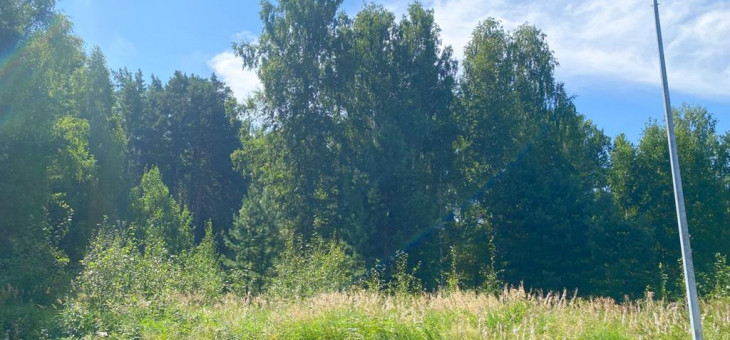 Участок № 106 в поселке Жемчужный, площадь 12.50 соток