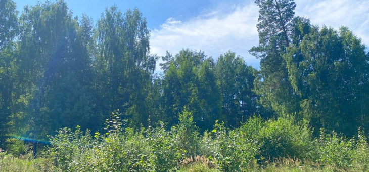 Участок № 107 в поселке Жемчужный, площадь 12.50 соток