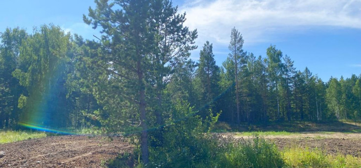 Участок № 109 в поселке Жемчужный, площадь 12.50 соток