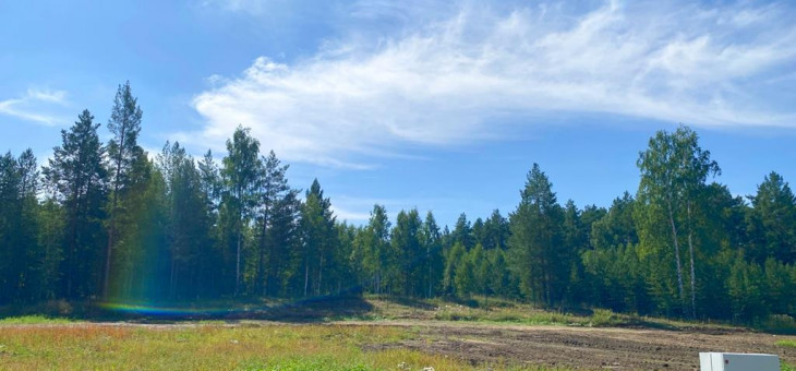 Участок № 111 в поселке Жемчужный, площадь 12.50 соток