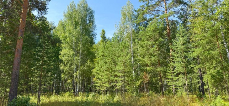 Участок № 13 в поселке Агат, площадь 19.05 соток