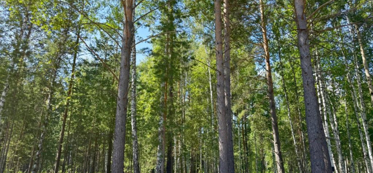 Участок № 14 в поселке Агат, площадь 19.05 соток