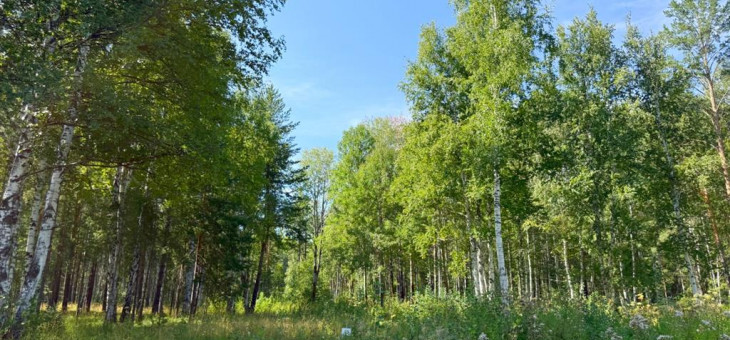 Участок № 15 в поселке Агат, площадь 19.05 соток