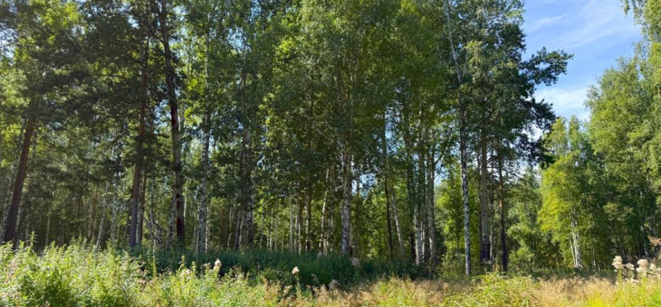 Участок № 18 в поселке Агат, площадь 19.05 соток