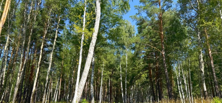 Участок № 23 в поселке Агат, площадь 18.00 соток