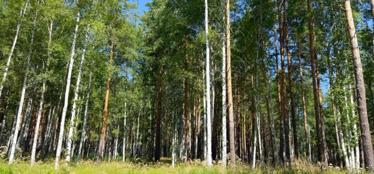 Участок № 28 в поселке Агат, площадь 18.00 соток