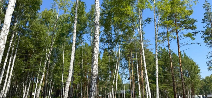 Участок № 34 в поселке Агат, площадь 18.00 соток