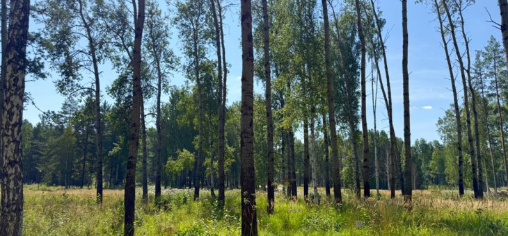 Участок № 35 в поселке Агат, площадь 14.00 соток