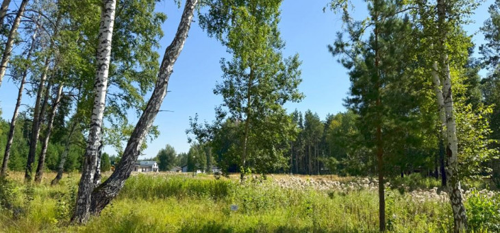 Участок № 36 в поселке Агат, площадь 14.00 соток