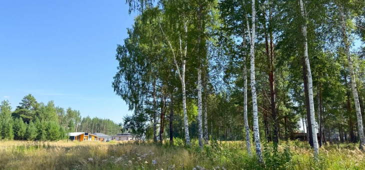 Участок № 37 в поселке Агат, площадь 14.00 соток