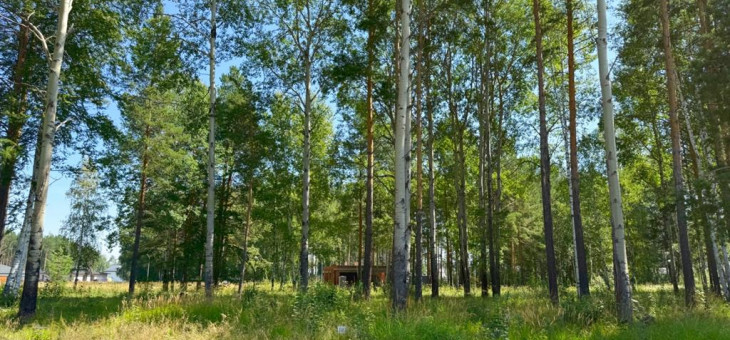 Участок № 38 в поселке Агат, площадь 14.00 соток