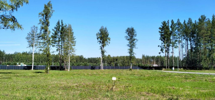 Участок № 10 в поселке Аист, площадь 11.31 соток