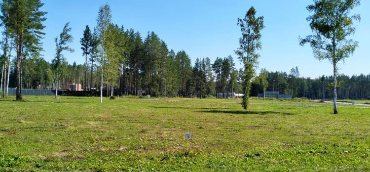 Участок № 12 в поселке Аист, площадь 13.53 соток