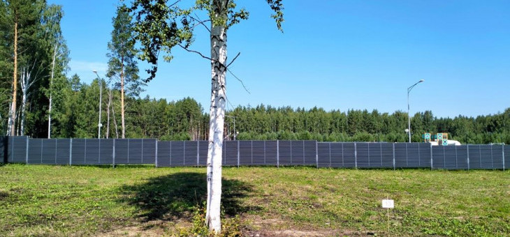 Участок № 13 в поселке Аист, площадь 18.12 соток