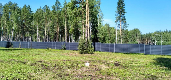 Участок № 14 в поселке Аист, площадь 10.52 соток