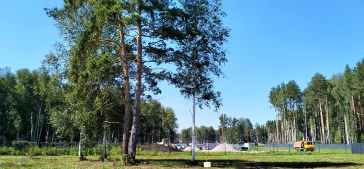 Участок № 19 в поселке Аист, площадь 10.52 соток