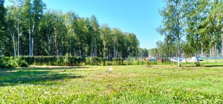 Участок № 20 в поселке Аист, площадь 9.85 соток