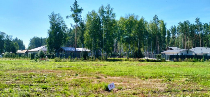 Участок № 31 в поселке Аист, площадь 12.22 соток