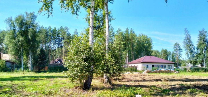 Участок № 35 в поселке Аист, площадь 11.37 соток