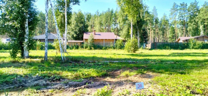 Участок № 36 в поселке Аист, площадь 11.59 соток