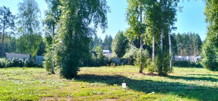 Участок № 37 в поселке Аист, площадь 9.97 соток