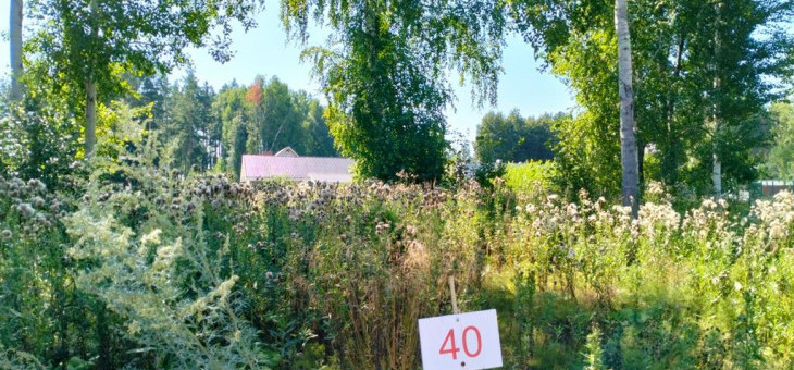 Участок № 40 в поселке Аист, площадь 8.49 соток