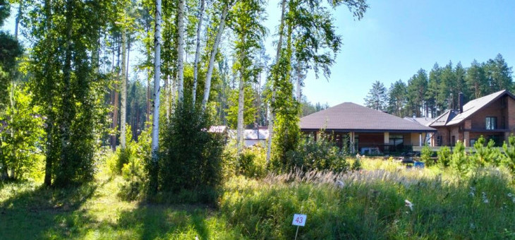 Участок № 43 в поселке Аист, площадь 17.11 соток