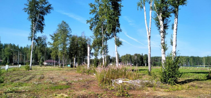 Участок № 45 в поселке Аист, площадь 9.85 соток