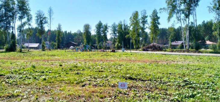 Участок № 49 в поселке Аист, площадь 10.28 соток