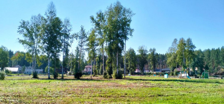 Участок № 51 в поселке Аист, площадь 8.83 соток