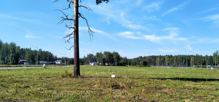 Участок № 57 в поселке Аист, площадь 11.54 соток