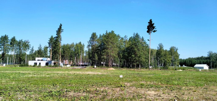 Участок № 59 в поселке Аист, площадь 10.47 соток