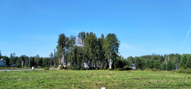 Участок № 63 в поселке Аист, площадь 10.67 соток