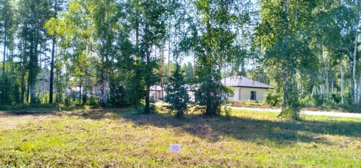 Участок № 70 в поселке Аист, площадь 10.73 соток