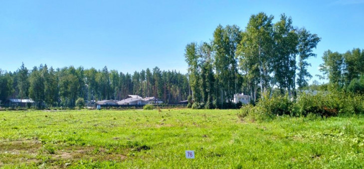 Участок № 76 в поселке Аист, площадь 10.67 соток