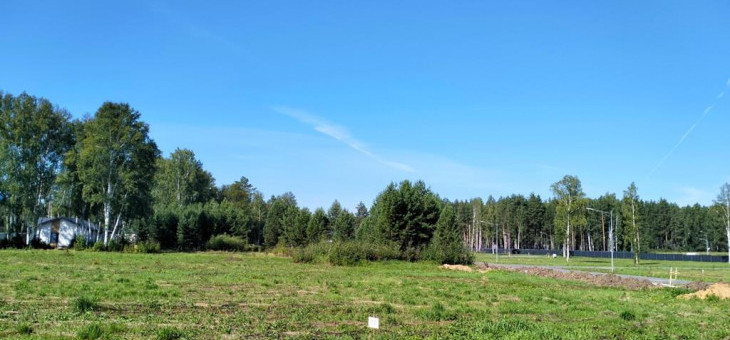 Участок № 77 в поселке Аист, площадь 10.67 соток