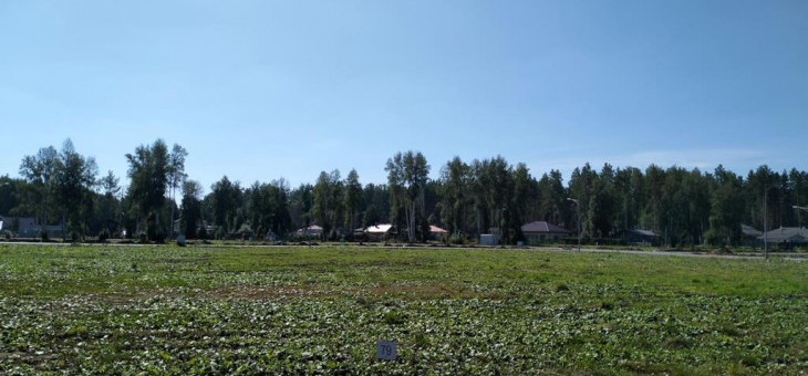 Участок № 79 в поселке Аист, площадь 10.47 соток