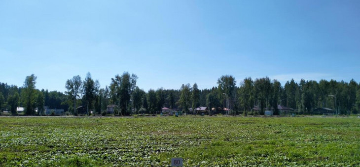 Участок № 80 в поселке Аист, площадь 10.47 соток