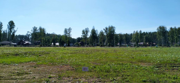 Участок № 81 в поселке Аист, площадь 10.47 соток