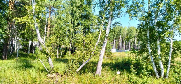 Участок № 87 в поселке Аист, площадь 10.01 соток