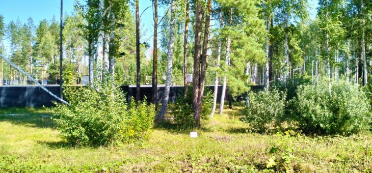 Участок № 90 в поселке Аист, площадь 9.89 соток