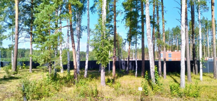 Участок № 91 в поселке Аист, площадь 9.95 соток